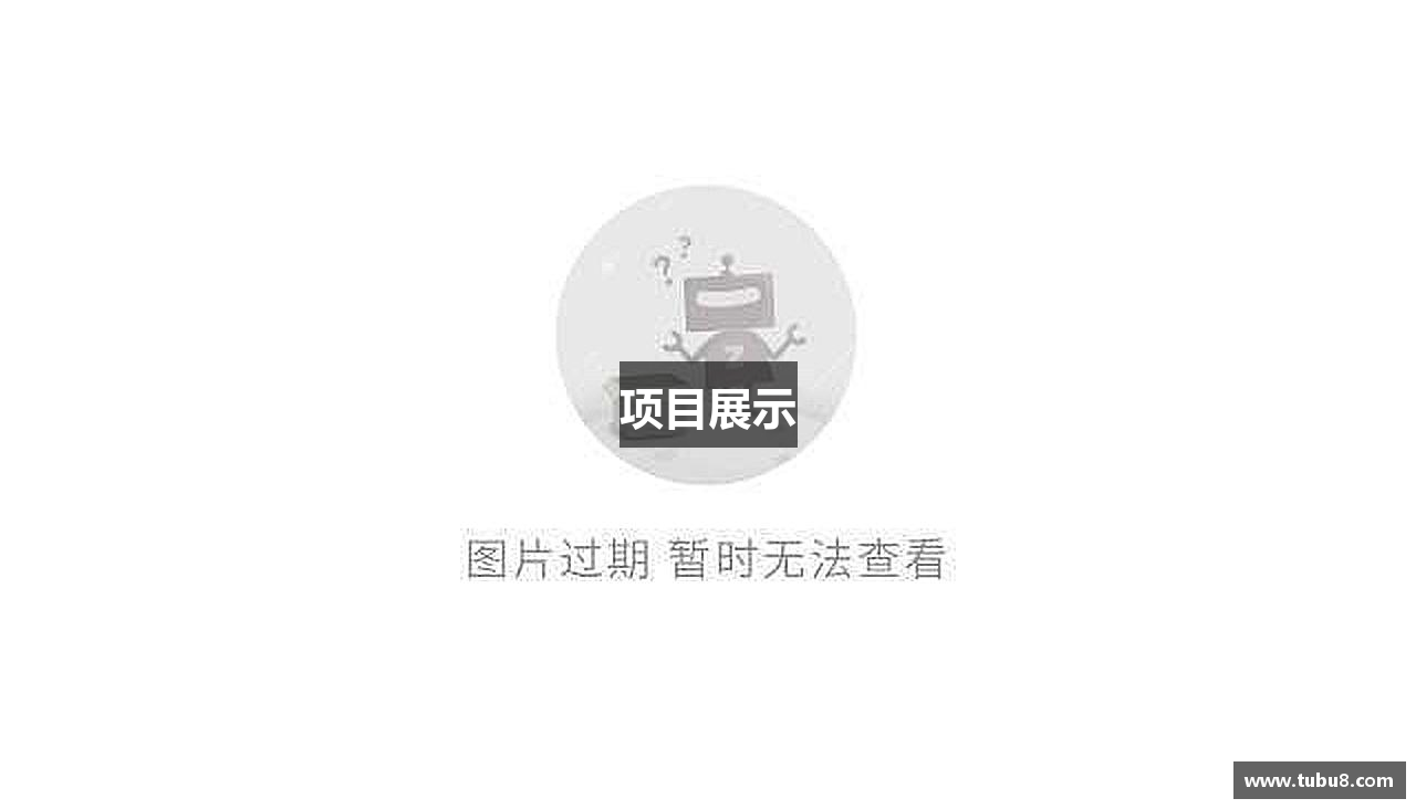 项目展示